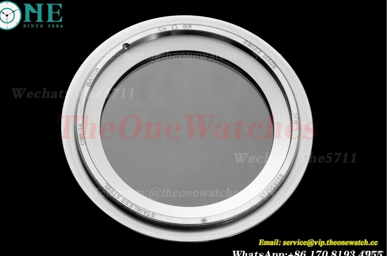 Seamaster Wht A8800 SS SS blue 300m 42mm JVSF 0112